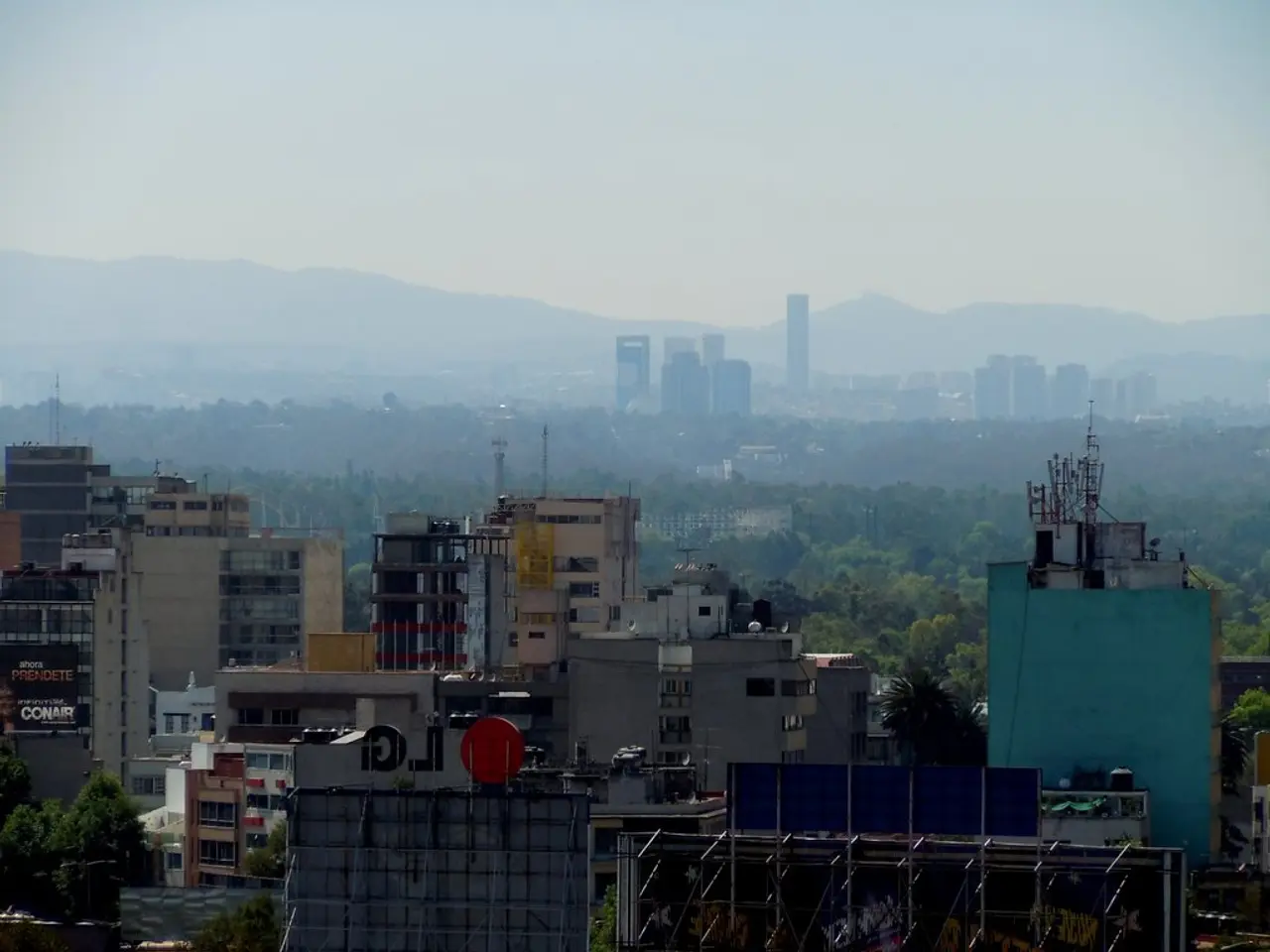 Director of Actori-21 in Realms of Oil, Mining, Construction, and Renewable Energy: Daby Toure