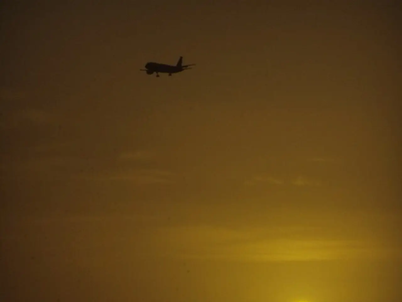 Leading the Pack, Reigns the Brightest