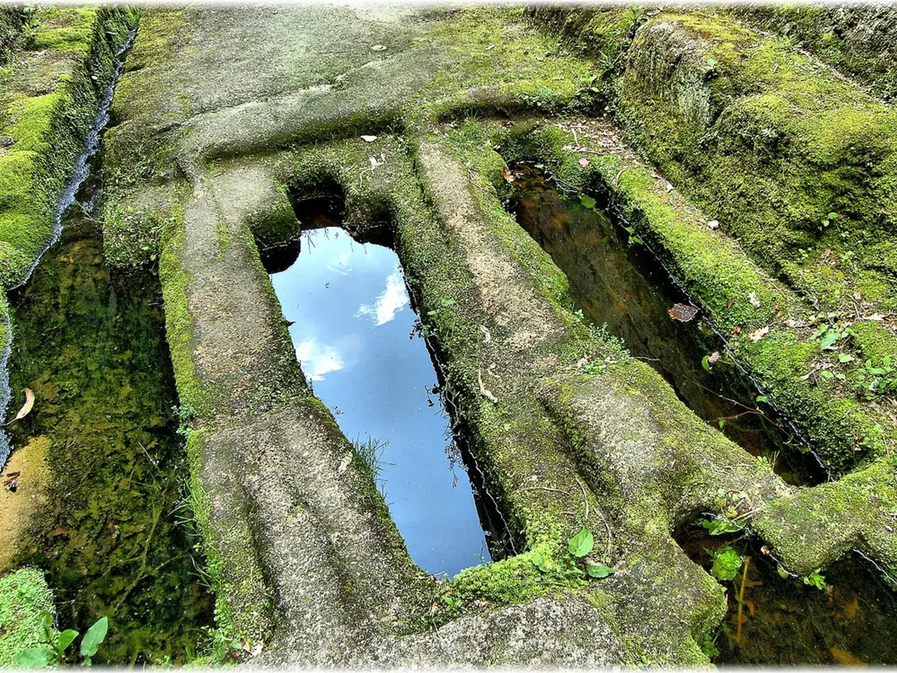 Hydrogen laboratory aims to achieve 2030 green hydrogen goals in Oman