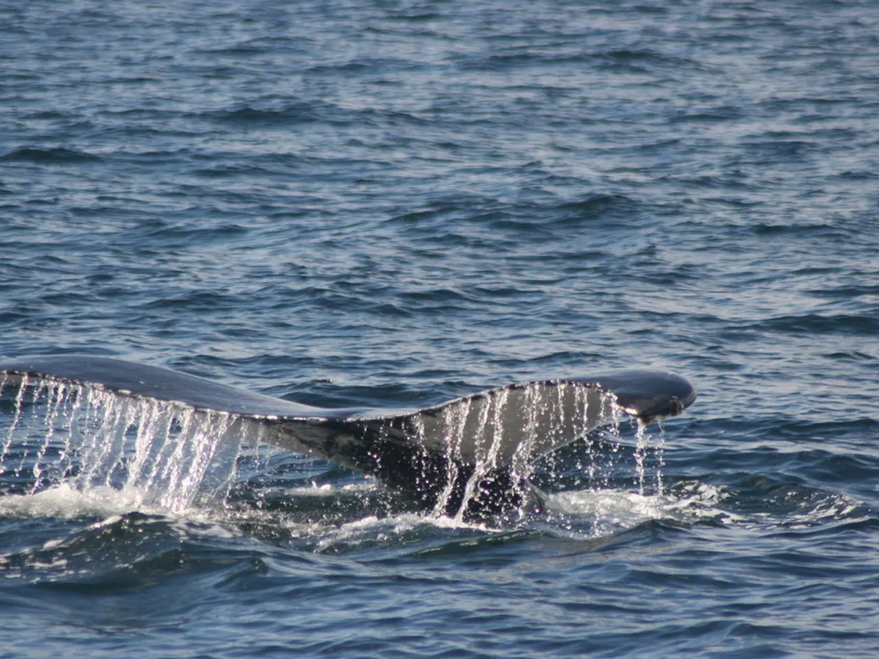 XRP soars to $3, yet a significant sale of over $6 billion by a major player triggers alarm.