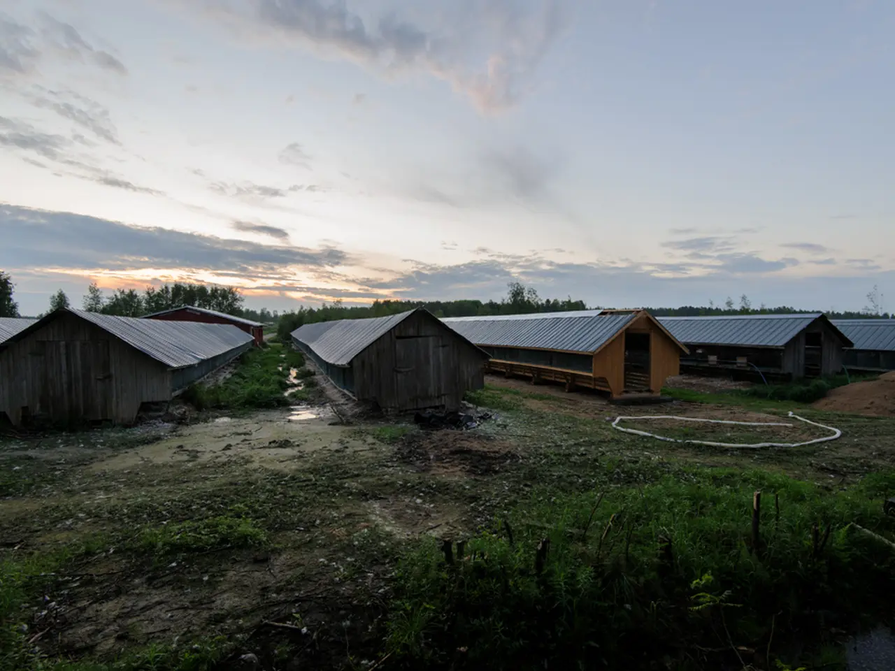 Stock prices for GoDaddy experienced a significant decline on Friday.