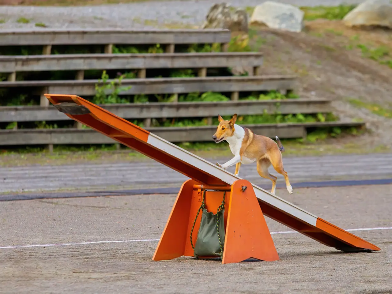 Offering of Senior Notes by Champion Iron for US$450 million