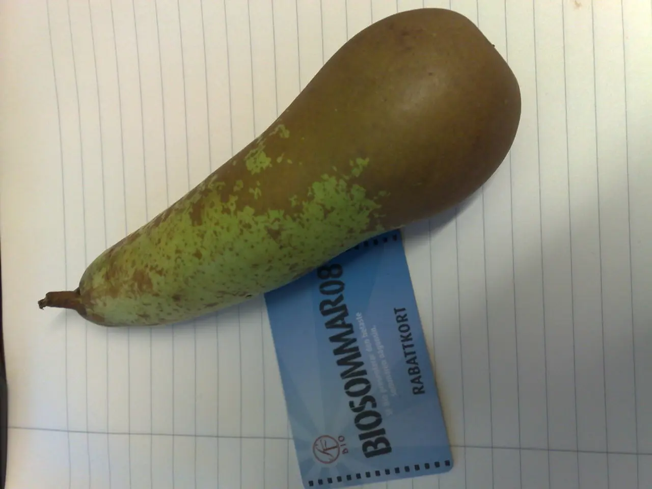 Island of Oléron takes on global corporations: Airbnb and Booking face resistance from the French...