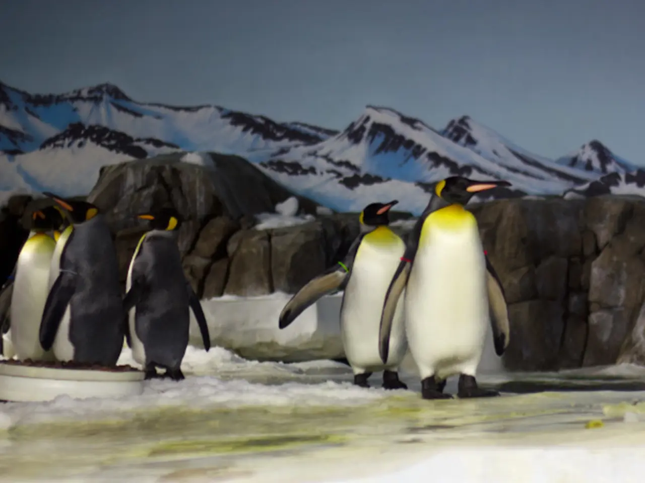 Stock Market's Nikkei Index Reaches Record Peak as Tariff Apprehensions Subside