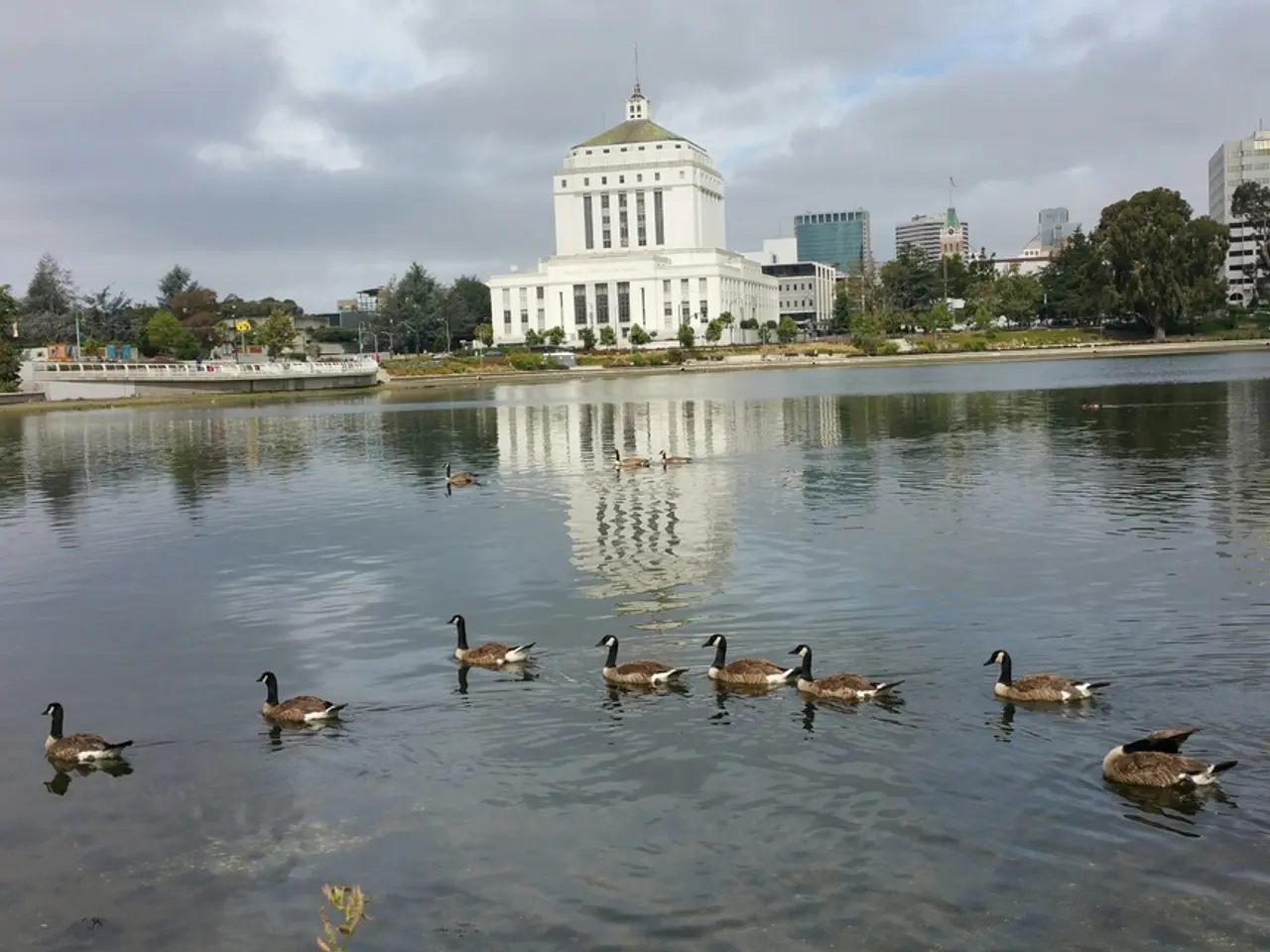 Contract awarding process commences at the Commission's discretion.