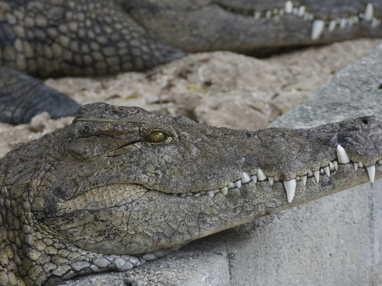 Twenty-fourth annual gathering for the Cementrade Summit in Asia