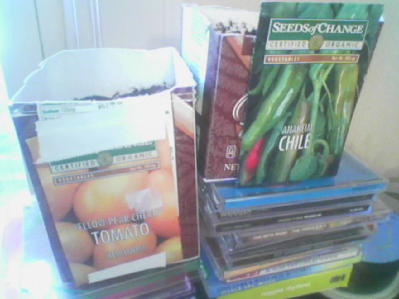 Turtlemint, an insurtech company, submits a private placement draft to the Securities and Exchange...