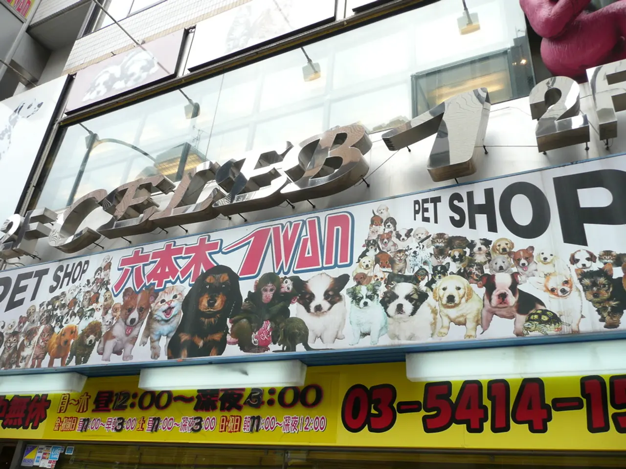 Disarray in Retirement Savings May jeopardize Your Financial Prospects