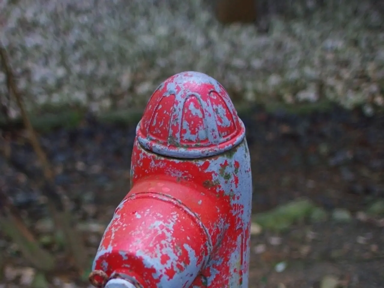 Plumber tycoon Charlie Mullins starts a fresh business undertaking in Britain