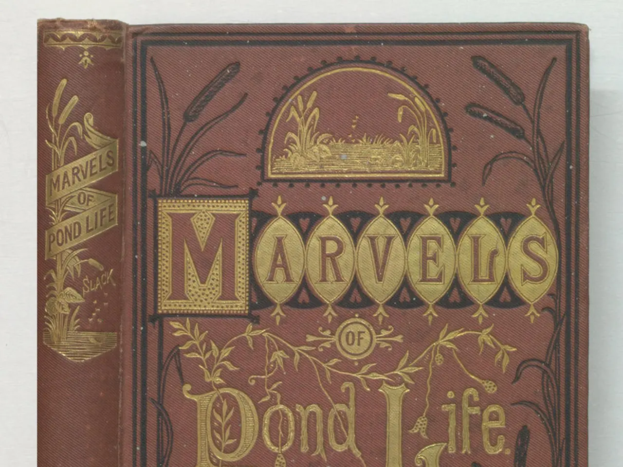 There is a book and it is of brown color and it is written as "marvels of pond life".