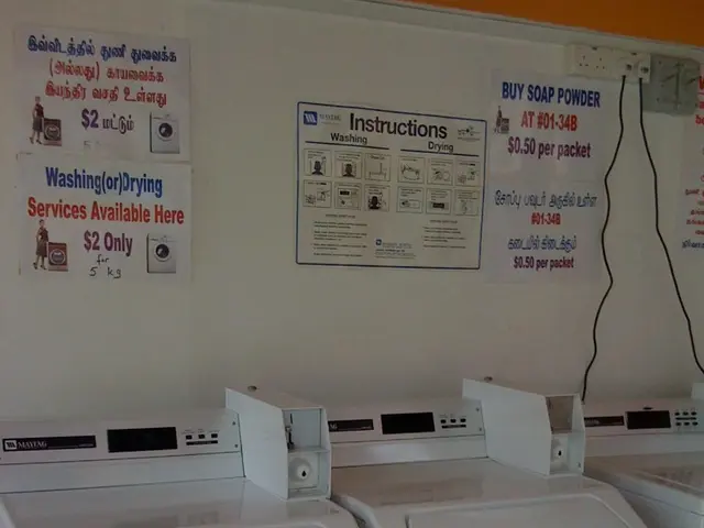 Assessing XS.com in 2025: Is XS Suitable for Newcomers and Skilled Traders?