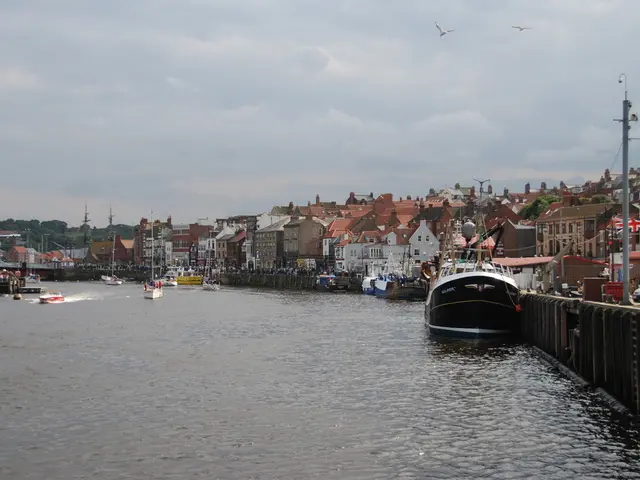 Water Damage vs. Flood Damage: Understanding the Distinctions