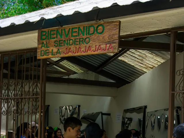 Bankruptcy Filing Announces Demise of Brothers of the Mind