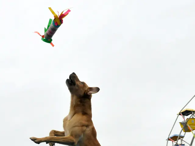 Dogecoin Exhibits Possible Recovery Indicator, Drawing Attention of Specialists Predicting a 260%...