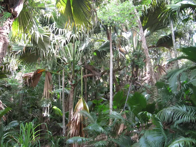Launch of $42 Million Initiative for Primary Forests in Southeast Asia and the Pacific on June 26,...