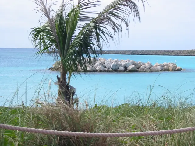 U.S. presented with prospect of joint investments in crucial minerals by Indonesia during tariff...