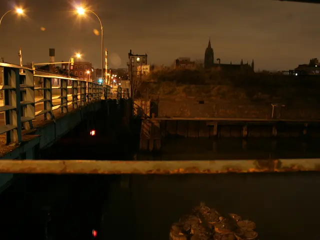 Reconstruction efforts on Stephen Avenue are causing concern for local businesses