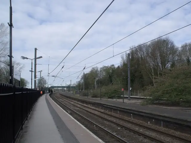 Tax Revenue: Operating Mechanism, Your Contribution - and Top Payers Revealed