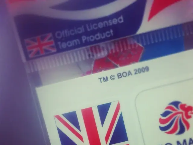 Enhanced Trade Mark Regulation Adopted by the European Union