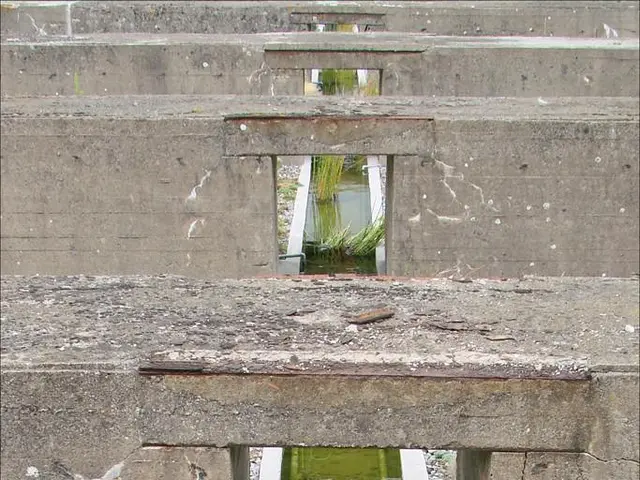 "Reestablishing vegetation: Overcoming obstacles in the process"