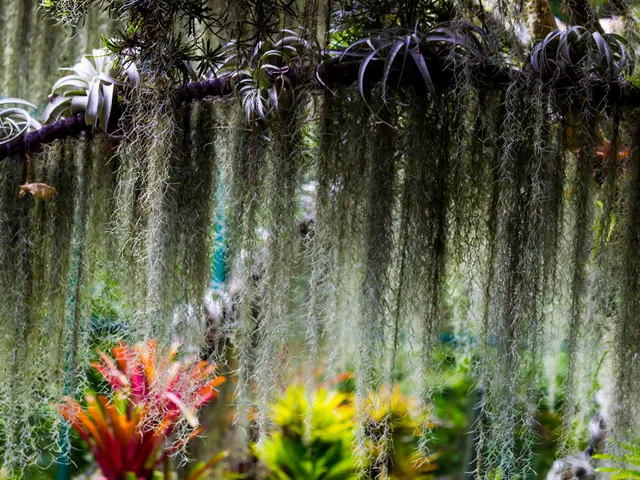 Evolutionary Dedication at Motomachi Plant Sparks Transformation in Monozukuri and Society