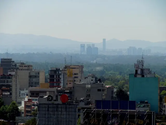 Enhanced Authority for the Incoming Bafin Head