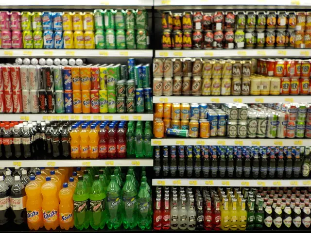 Influencers Transitioning into Business Ownership: A Lesson for Marketing Professionals