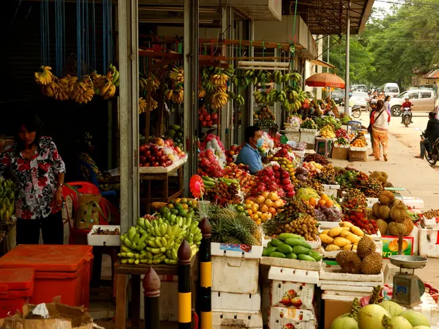 Diverse landscape apparent within Latvia's commercial sector