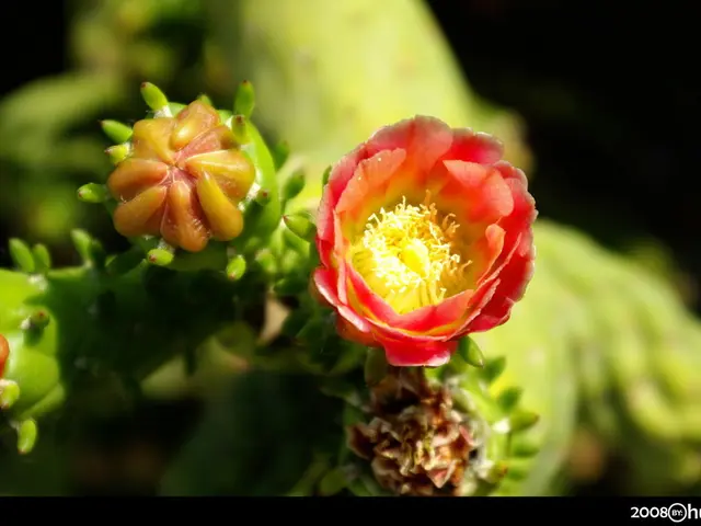 Warren opposes initiative to integrate private equity within 401(k) retirement plans.