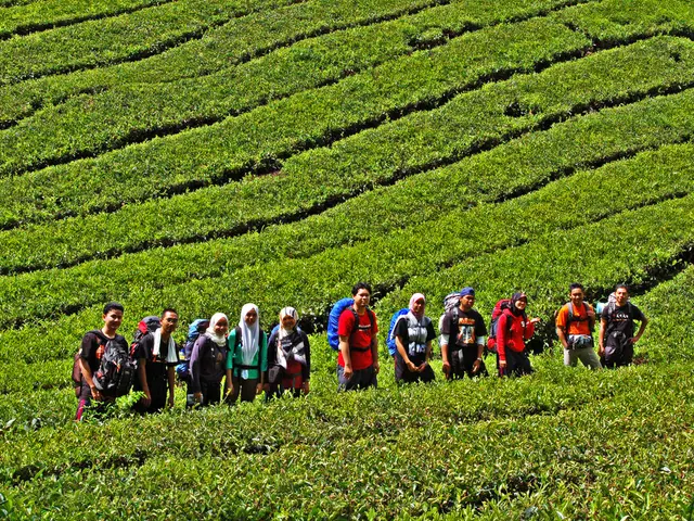 Sime Darby Plantation's goods now cleared for entry into the United States following the revocation...