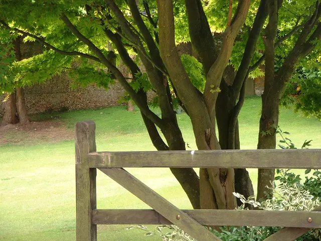 United Kingdom abolishes eco-classification system