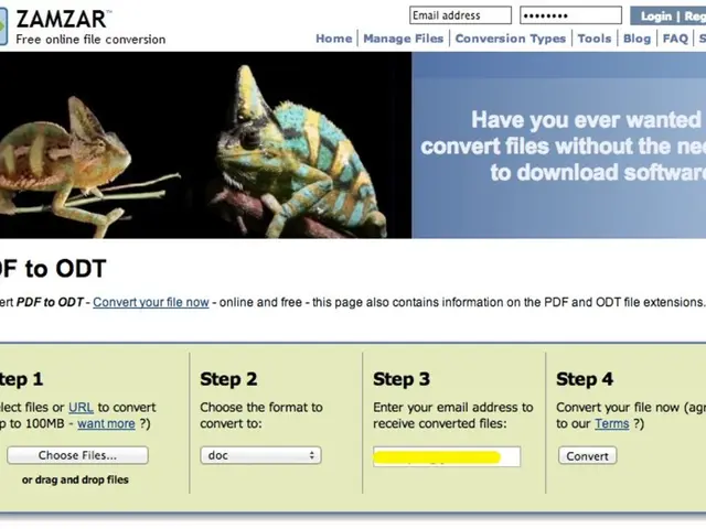 Steps to Register Your Business with Company Name
