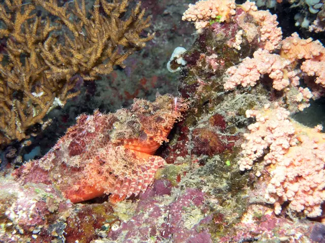 Mining Venture in Depth: Japan Prepares to Initiate Deep-Ocean Mineral Extraction Trials