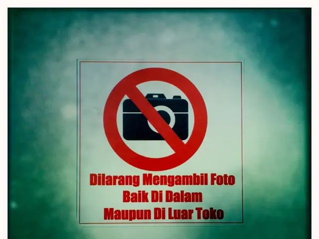 Anticipated Financial Performance of VeriSign During the Second Quarter of 2025