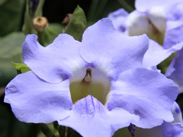 Freshman Weight Gain through Morning Glory Muffins: A Personal Chronicle