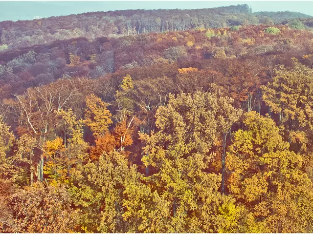 United Kingdom abolishes eco-classification system