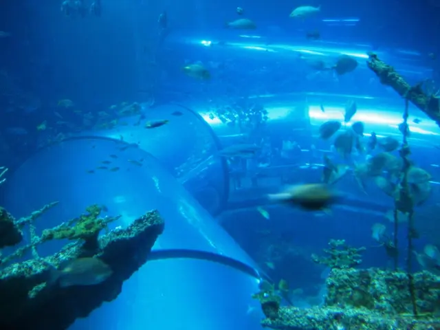 Explosive Growth in the Blue Economy Market at a Rate of 6.4%