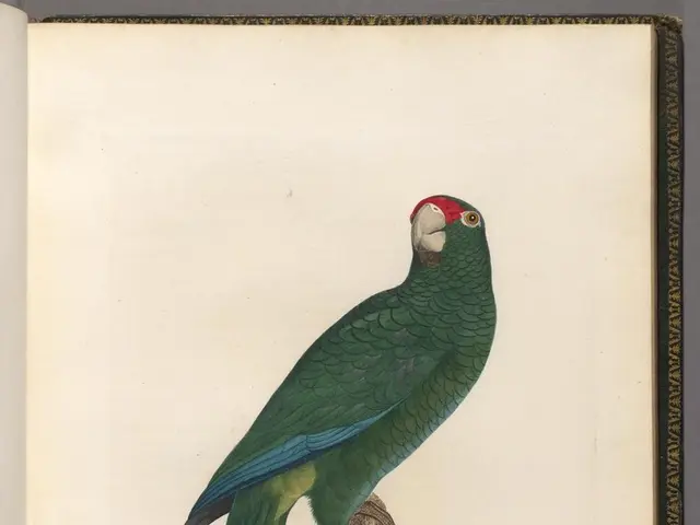 Potential for a Buffett-endorsed investment to amplify $300 monthly earnings into $1 million...