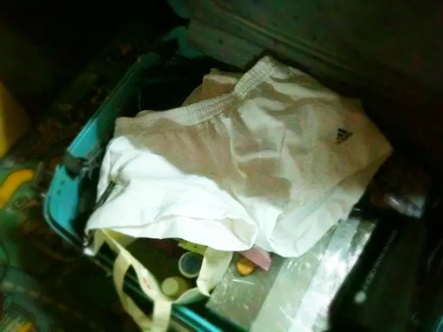 Critics lambast EU-US trade deal in economic circles