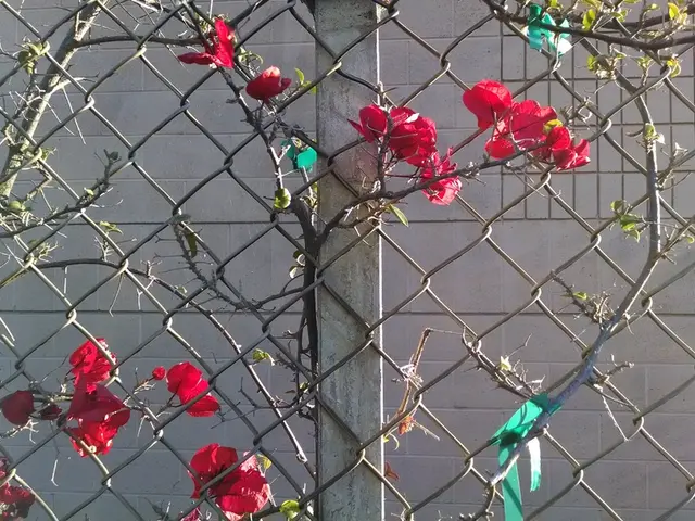 Bank faces repayment of nearly 150,000 euros from an inherited pension plan of the Banco de...