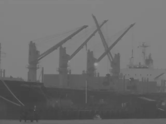 International Seaport Hubs Demonstrate Growth and Resilience