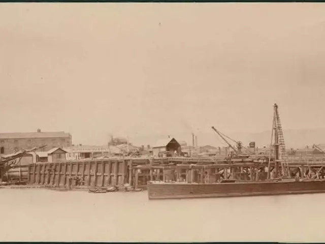 Trump halts plans for creating offshore wind farm developments due to shift in energy policy