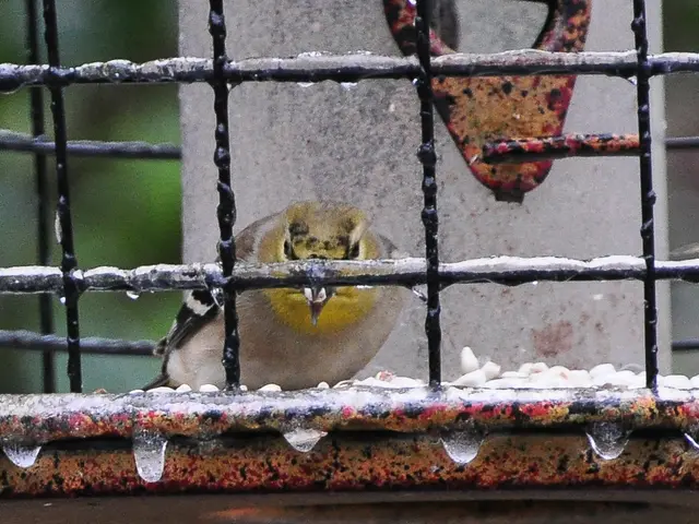 Stocks in the United States take a major hit - Economic indicators, particularly job statistics,...