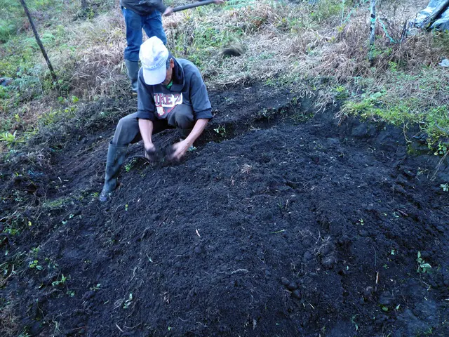 Researchers rejuvenate ancient high-pressure technique for rebuilding soil and reducing CO2 levels