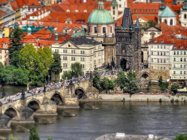 The group's total worth of assets and debts will be disclosed in the eighth column of this...