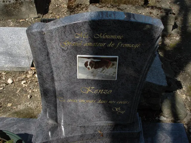 Guide on Financial Transactions for the Deceased