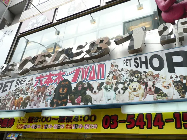 Strategies to prevent your retirement savings from falling short: Nearly half of workers over 60...