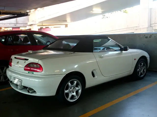 Economy Minister endorses League's stance on gas-fired power plants