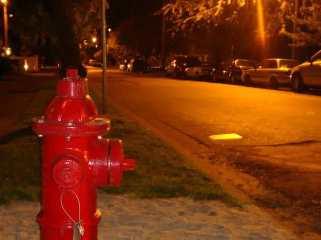 Assistance for Southern California Wildfires Expanded: Involvement of Honda, Kumho Tire, and AAA...