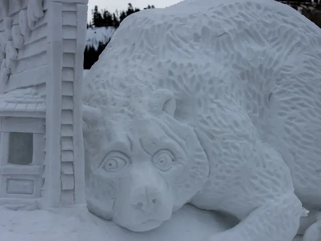 Art event in Aspen sees the rise of larger fairs and significant collectors, escalating the value...